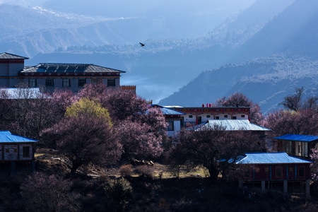 风光-风景-雪山-色彩-旅行 图片素材