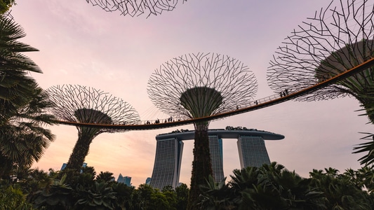 天空-城市-旅行-建筑-树林 图片素材