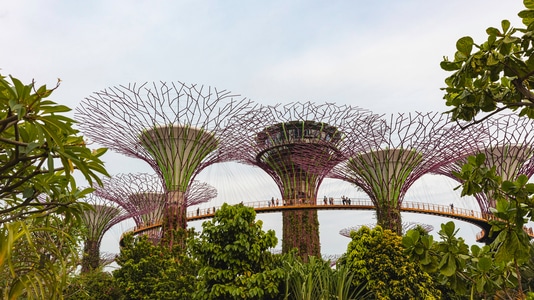 城市-旅行-建筑-树林-新加坡 图片素材