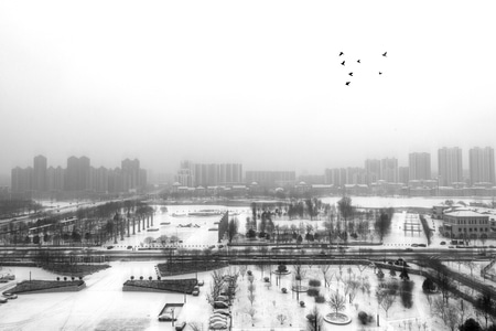 电脑传图-后期-抓拍-雪后-黑白 图片素材