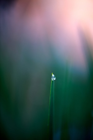 色彩-抓拍-电脑传图-特写-虚实 图片素材