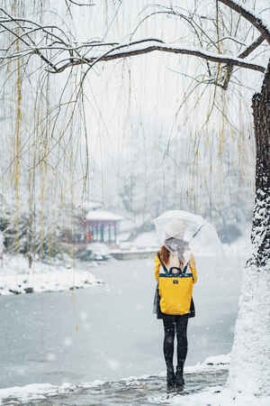 雪-人像-伞-女孩-近春园 图片素材