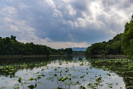 电脑传图-美丽西湖-西湖遐想-西湖漫步-西湖风光 图片素材