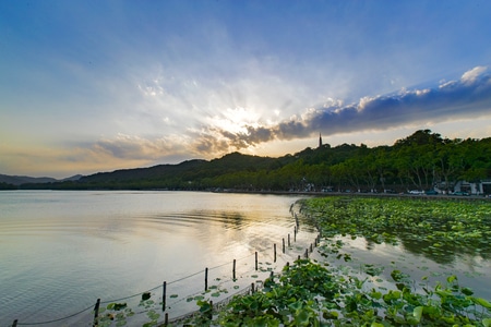 电脑传图-美丽西湖-西湖遐想-西湖漫步-西湖风光 图片素材