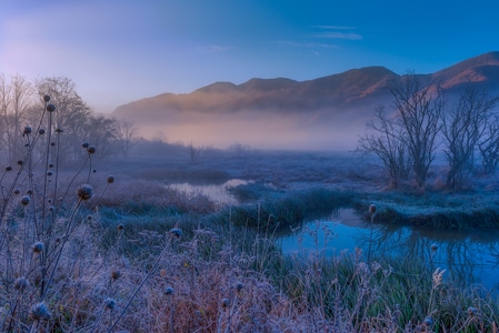 电脑传图-沼泽-湿地-清晨-雾 图片素材