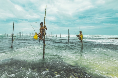 尼康-海-斯里兰卡-旅行-高跷钓鱼 图片素材