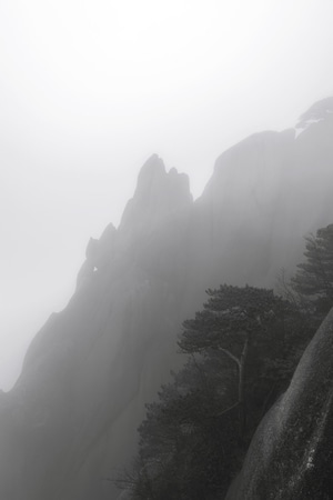 山体-自然-高山-松树-大雾 图片素材