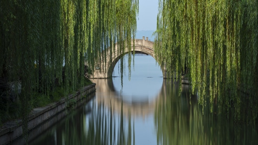 阳光-城市-垂柳-平静-长曝 图片素材