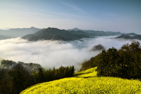 春天-油菜花-皖南-石潭-油菜花田 图片素材
