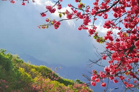 旅行-户外-大理-旅居-洱海 图片素材