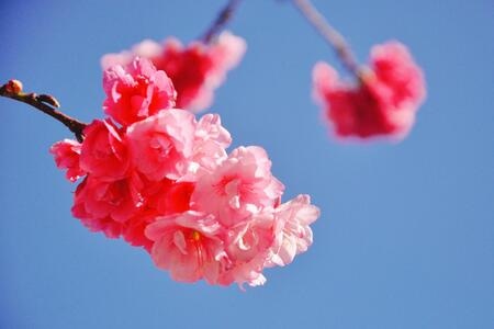 旅行-户外-大理-旅居-洱海 图片素材