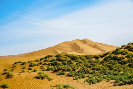 新疆-西域-南疆-沙漠-库木塔格 图片素材