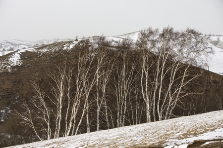 旅行-风光-冬季-美丽中国-自然 图片素材