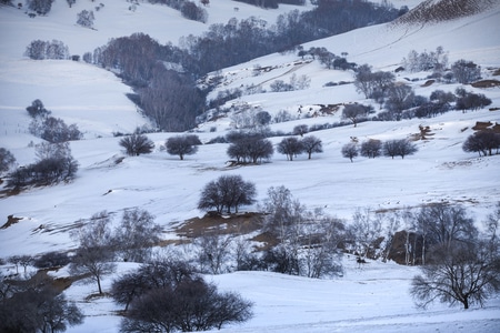 风光-旅行-冰雪-冬季-美丽中国 图片素材