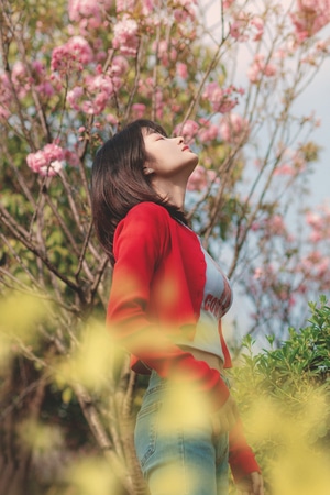 睛天-阳光-春天-樱花-油菜花 图片素材