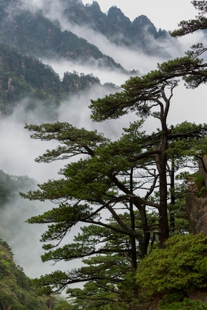 中国安徽、黄山、风光、风景区图-风光-自然风光-风景-自然 图片素材
