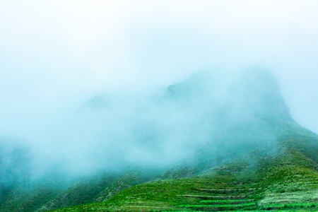 绿色-植物-室外-山-天空 图片素材