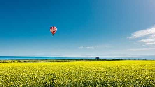 湖泊-油菜花-热气球-蓝天-自然风光 图片素材