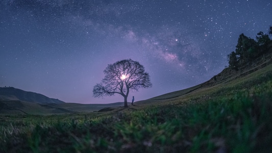 星空-夜晚-草原-大树-一棵树 图片素材