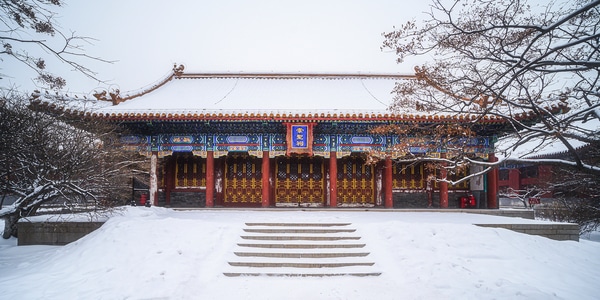 2020-文庙-哈尔滨-雪景-白色 图片素材