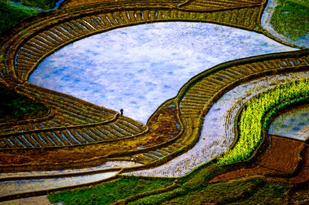 春-风光-独特视角-光线-小景 图片素材