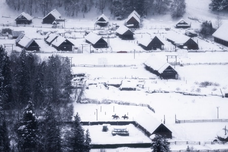 新疆-雪-旅行-天空-喀纳斯 图片素材