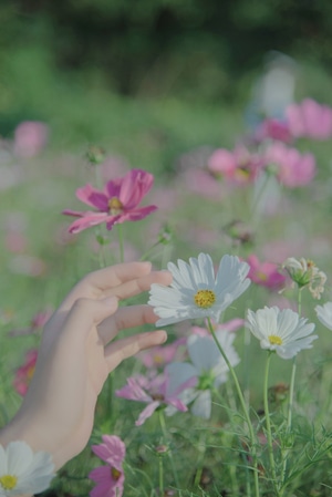 人像-写真-少女-唯美-特写 图片素材