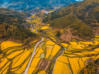 电脑传图-风光-自然-摄影-彩色 图片素材