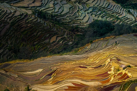 电脑传图-阳光-风光-自然-摄影 图片素材