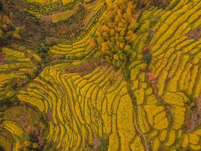 电脑传图-风光-自然-摄影-彩色 图片素材