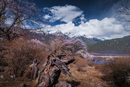 电脑传图-阳光-风光-自然-摄影 图片素材
