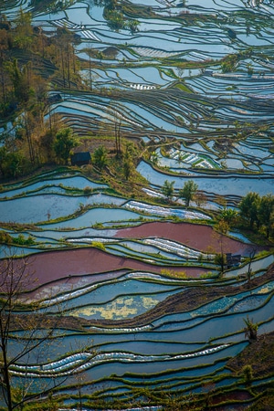 电脑传图-阳光-风光-自然-摄影 图片素材