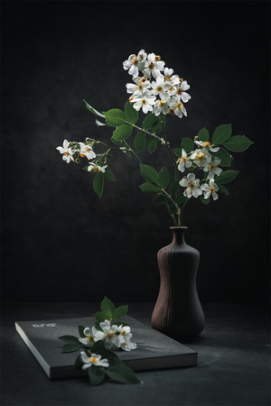 我要上封面-我的六月-中国风-静物-花卉 图片素材