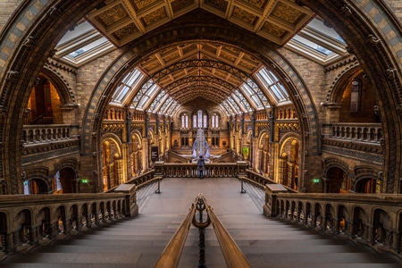 对称美-英国-伦敦-英国自然历史博物馆-博物馆 图片素材