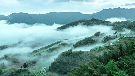 每日打卡-电脑传图-春色-旅游-户外 图片素材