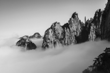 黄山-山-松-云海-黑白 图片素材