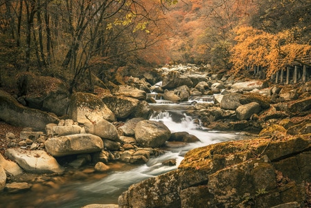 光雾山红叶-光雾山-红叶-枫叶-黑熊沟 图片素材