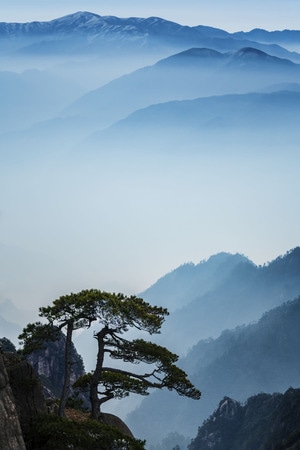 黄山-山-松-冬季-雪 图片素材
