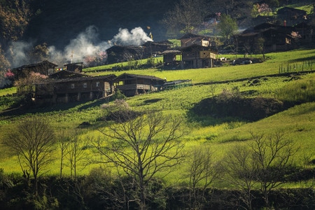丙中洛雾里村-丙中洛-雾里村-桃花-田园风格 图片素材