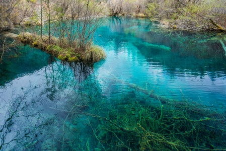 春季九寨沟-九寨沟-湖水-阿坝-川西 图片素材