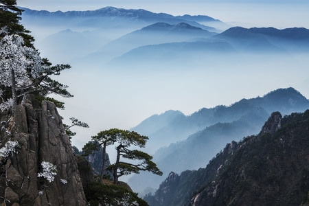 黄山-山-松-冬季-雪 图片素材