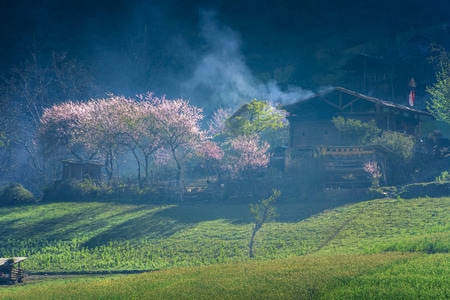 丙中洛雾里村-丙中洛-雾里村-桃花-田园风格 图片素材