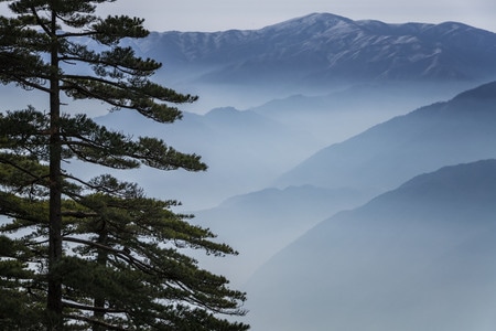黄山-山-松-冬季-雪 图片素材