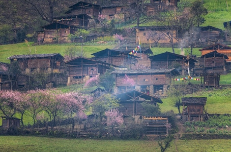 丙中洛雾里村-丙中洛-雾里村-桃花-田园风格 图片素材
