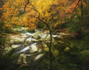 光雾山红叶-光雾山-红叶-枫叶-倒影 图片素材