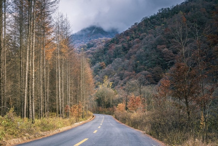 光雾山红叶-光雾山-红叶-枫叶-巴中 图片素材