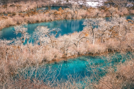 冬季九寨沟-冬季-雪-九寨沟-川西 图片素材