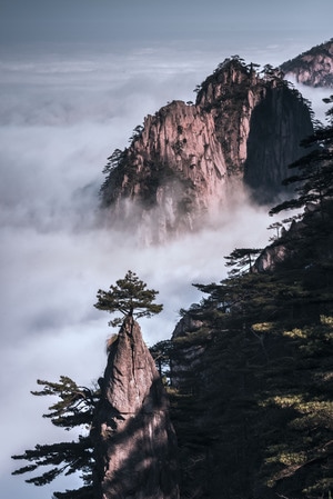 黄山-山-松-云海-黄山市 图片素材