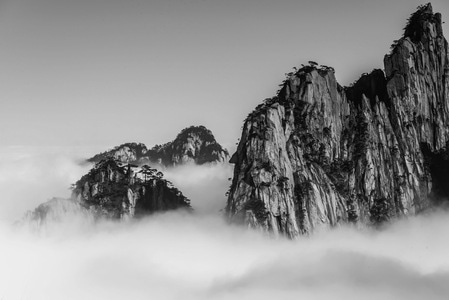 黄山-山-松-云海-黑白 图片素材