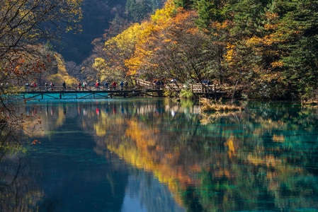 秋季九寨沟-九寨沟-五花海-阿坝-川西 图片素材